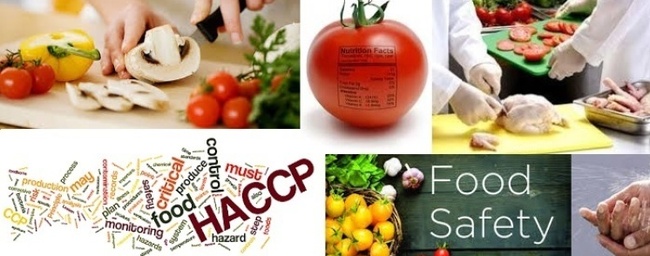 Food Safety and Hygiene Traning Consultants